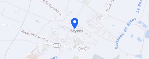 La foulée pour la vie - Seysses