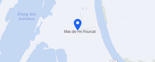Course nature sauvage - Saintes-Maries-de-la-Mer