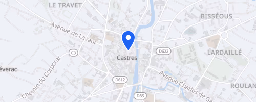 Ronde givrée Auchan - Castres
