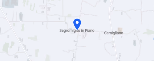 Walking For Simona - Segromigno in Piano