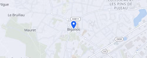 La boïenne - Biganos