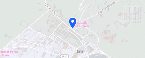 38° Corri Este (19-13-7-2Km)