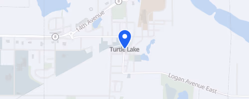 Turtle Lake Turtle Trot