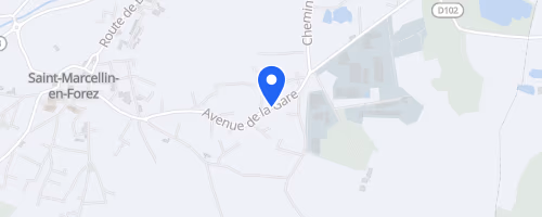 La course nature marcellinoise - Saint-Marcellin-en-Forez