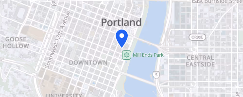 Portland Bridge Swim