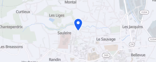Randonnée Fourme de MontrBrison - Montbrison