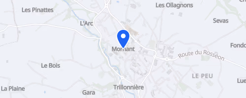 Course Solidaire La Mornantaise