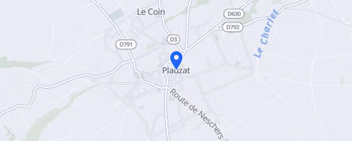 Les Courses Des Lions Et Des Lionceaux - Plauzat