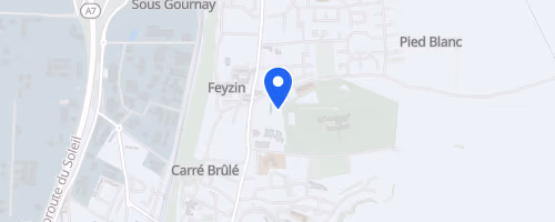 Les foulées de vince - Feyzin