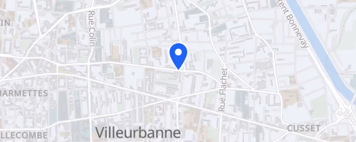 Cross de la feyssine - Villeurbanne