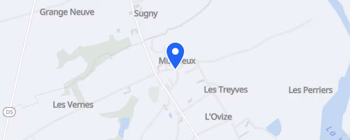 Course des bords de Loire - Mizérieux