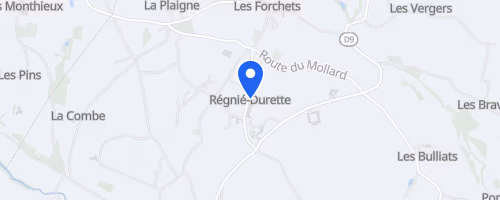Trail Des 2 Clochers - Regnie Durette