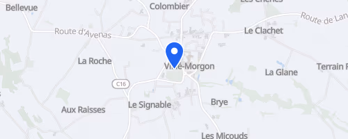 Beaujol'Trail Morgon