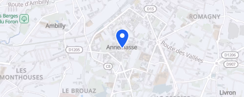 Foulées annemassiennes - Annemasse