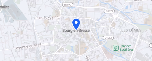 Ekiden De Bourg En Bresse