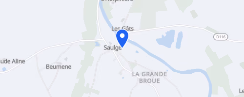 Course saulgéenne