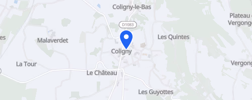 Trail des Chamois - Coligny