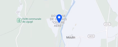 Trail Insolite de Ligugé