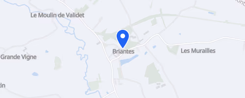 Foulées de Briantes