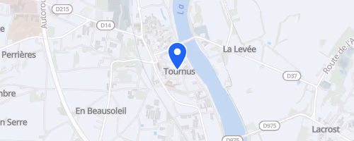 Cross de Tournus