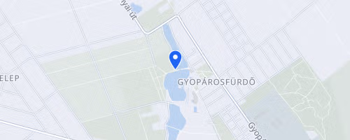 X. Linamar Jótékonysági Futóverseny HIBRID a Viharsarki Koraszülöttmentő Alapítványért