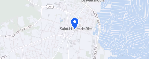 Les galopades de la forêt - Saint-Hilaire-de-Riez