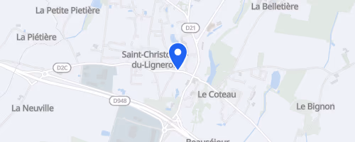 La Virée des Puces