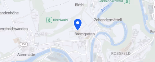 Bremgartenlauf, Lauf & Walking Event