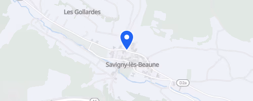 La foulée des vendanges - Savigny-lès-Beaune