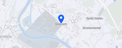Gratkorner ROTE NASEN LAUF