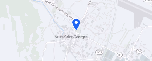 Semi-marathon et 10 km de Nuits-Saint-Georges