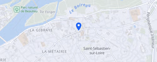 Les foulées de Saint-Sébastien-sur-Loire