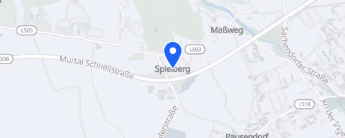 Sparkassen Businesslauf am Red Bull Ring