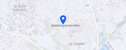 Les foulées des bords de Loire - Sainte-Luce-sur-Loire