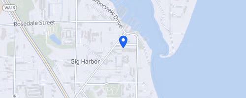 Holmes Chiropractic Care Gig Harbor Turkey Trot!