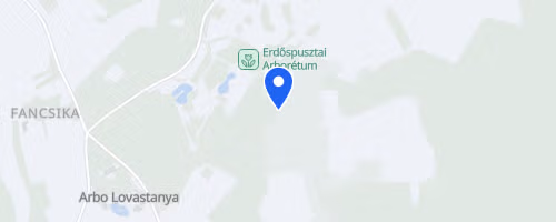 II. Mozaik Med Debreceni Futófesztivál