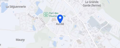 Les Foulées En Or - Avrille
