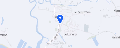 Foulées de Billiers