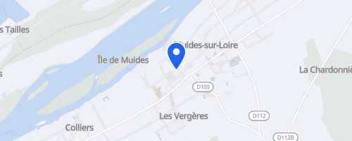 Les foulées de Muides - Muides-sur-Loire
