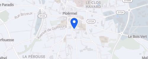 Semi Marathon De Ploermel Communaute - Ploërmel