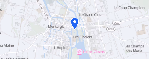 Semi-marathon de Montargis