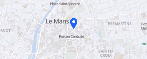 10 km le maine libre - Le Mans