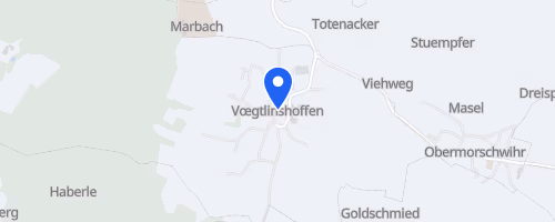 Course De La Fête Du Rabseppi - Voegtlinshofen