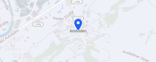 ANSer Panoramalauf