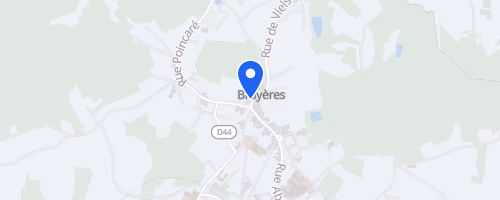 Trail de l'Avison - Bruyères