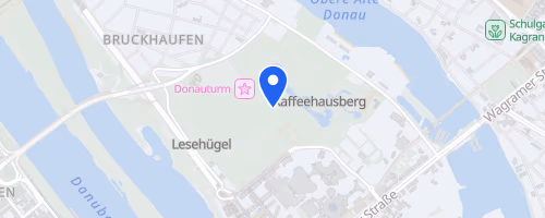 37. Sri Chinmoy Donauparklauf