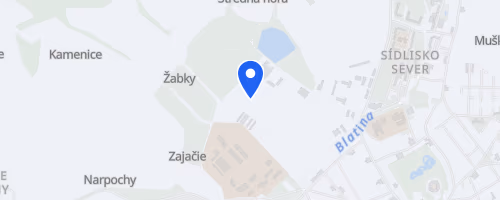 Angličák Night Run Pezinok