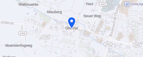 Les onze km d'Obernai