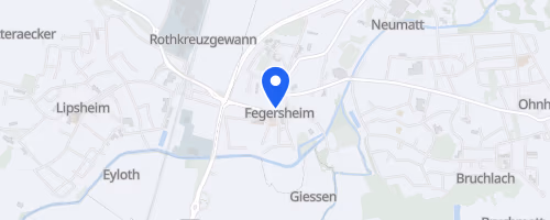 Foulées de Fegersheim