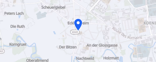 Eckbo run - Eckbolsheim